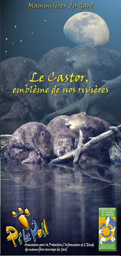 plaquettecastoravril2006
